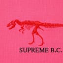 B.C. S/S Top view 7