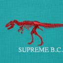 B.C. S/S Top view 9