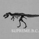 B.C. S/S Top view 11