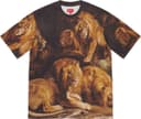 Lions' Den S/S Top view 1