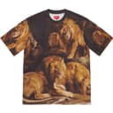 Lions' Den S/S Top view 2