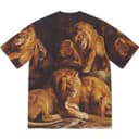 Lions' Den S/S Top view 3