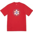 Lotus S/S Top view 8