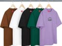Phoenix S/S Top view 1