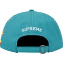 Sponsors 6-Panel view 5