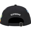 Sponsors 6-Panel view 8