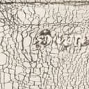 Crackle Sweatshort view 5