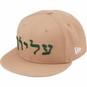 Hebrew New Era® view 18