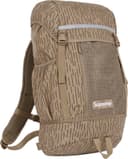 Backpack view 18