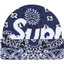 Big Logo Beanie view 13