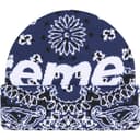 Big Logo Beanie view 14