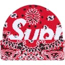 Big Logo Beanie view 17