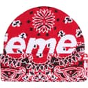 Big Logo Beanie view 18