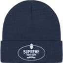 Crest Beanie view 2