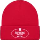 Crest Beanie view 3