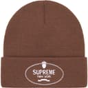 Crest Beanie view 5