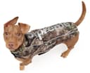 GORE-TEX Dog Jacket view 2