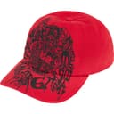 Liberty 6-Panel view 8