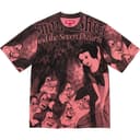 Snow White S/S Top view 4