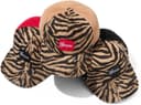 Tiger 5-Panel view 1