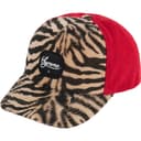 Tiger 5-Panel view 2