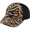 Tiger 5-Panel view 4