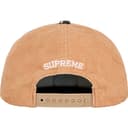 Tiger 5-Panel view 7