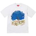 Peacock S/S Top view 4