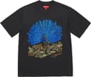 Peacock S/S Top view 7