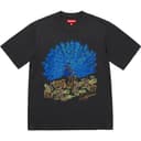 Peacock S/S Top view 8
