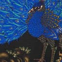 Peacock S/S Top view 10