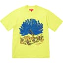 Peacock S/S Top view 11