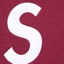 S Logo Sweatpant view 19