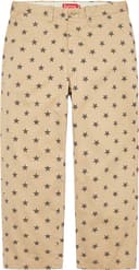 Chino Pant view 12