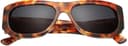 Club Sunglasses view 5