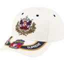 Crest 6-Panel view 4