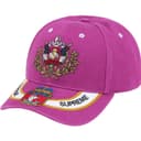 Crest 6-Panel view 6