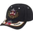 Crest 6-Panel view 8