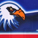 Eagle Hockey Jersey view 4