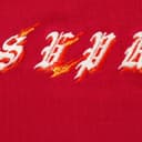 Flames S/S Top view 2