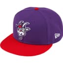 Goat New Era® view 2