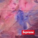Nylon Water Short view 16