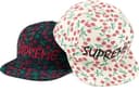 Cherries 5-Panel view 1