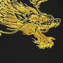 Dragon Wrap S/S Top view 4