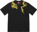 Dragon Wrap S/S Top view 12
