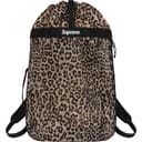 Mesh Backpack view 11
