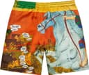 Ronin Silk Short view 5