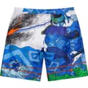 Ronin Silk Short view 7