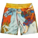 Ronin Silk Short view 9