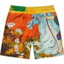 Ronin Silk Short view 10